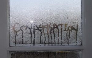 contact brighton damp proofing for condensation problems