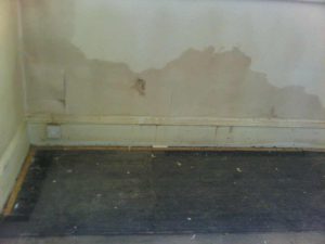 rising damp diagnosis at a property in brighton