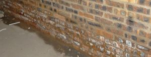 Damp Proofing Brighton, Sussex by Brighton Damp Proofing rising damp banner image